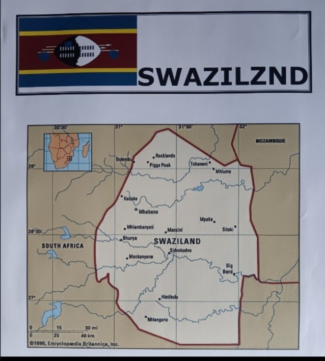 Russell🦁🏖️🐯 tweet media