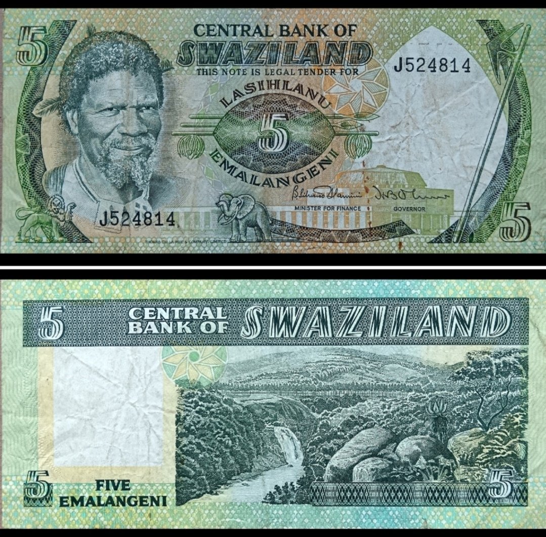 Russell🦁🏖️🐯 tweet media