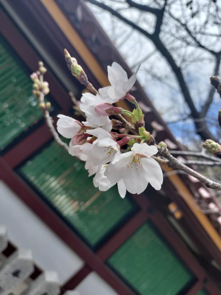 ドロップフレーム tweet media