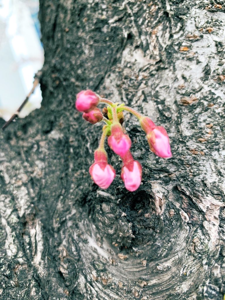 김희숙 tweet media