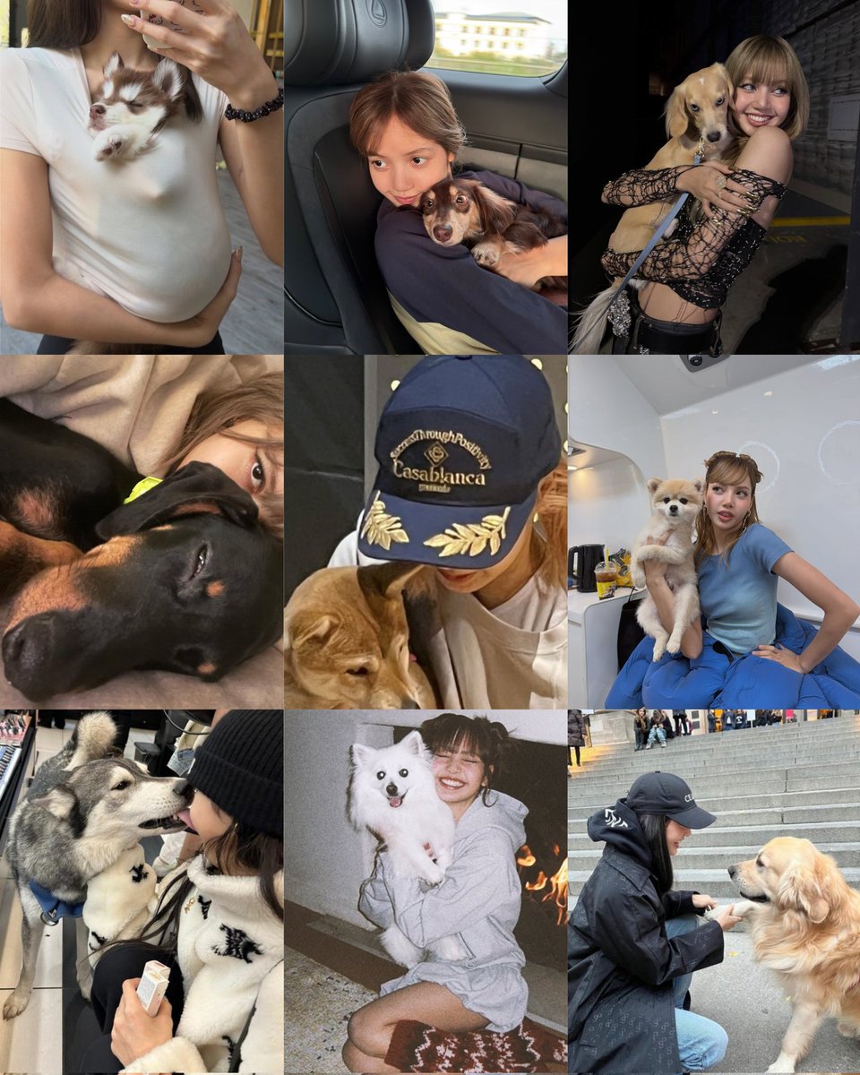 Lisa can't help but playing and interacting with dogs 🥺