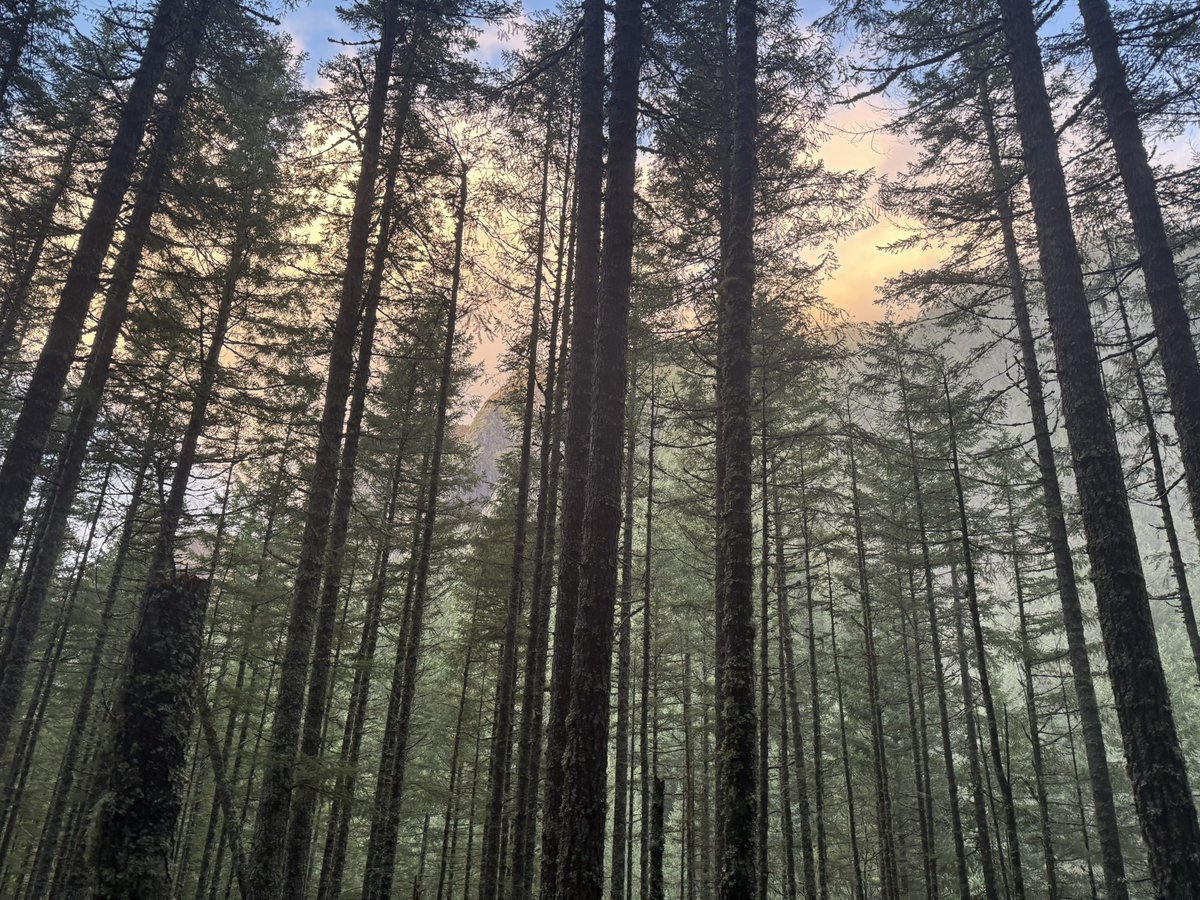 Jason Ernst tweet media