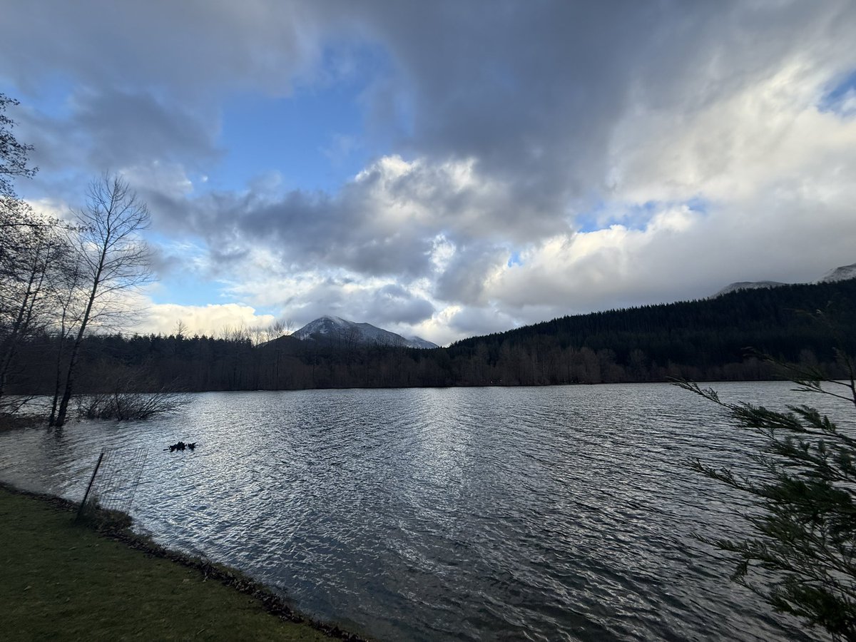 Jason Ernst tweet media