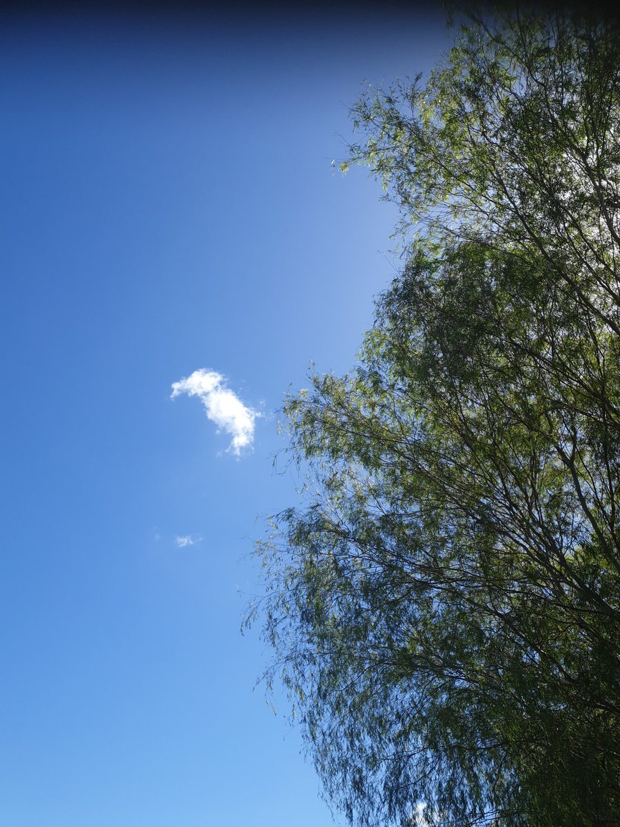 empress of the known universe.☕👜🥐🐈🎧 tweet media