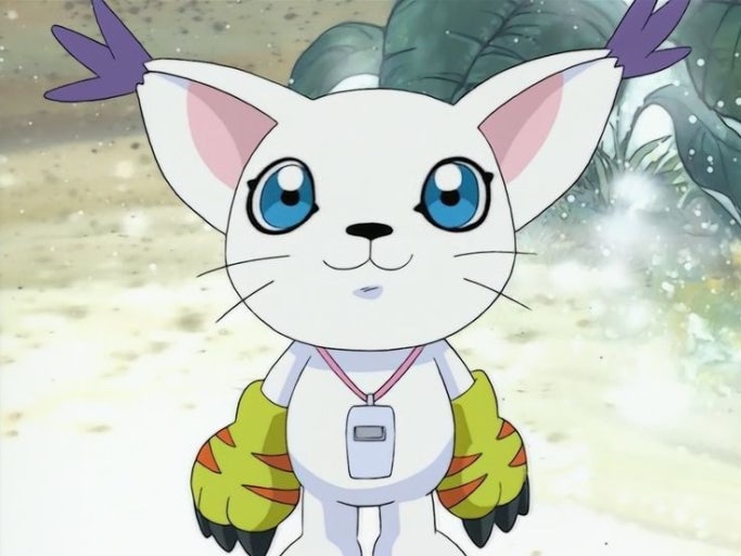 짜루진짜루 tweet media