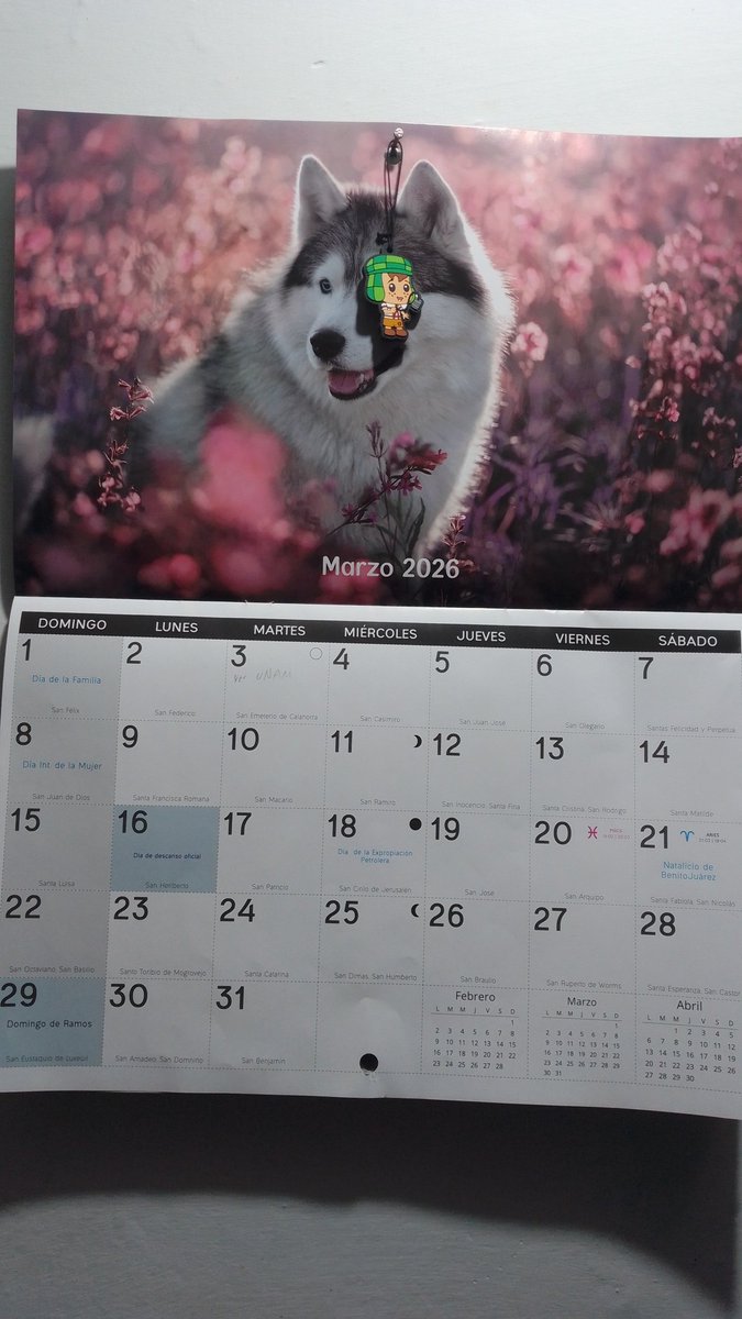 Israloco tweet media