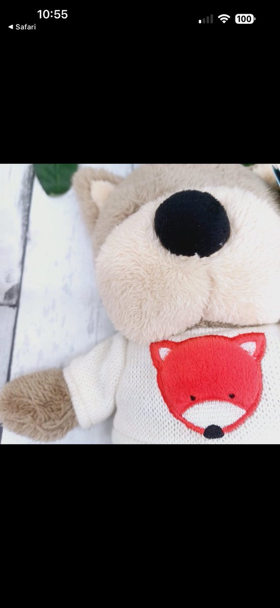 Jessy Sheldrake tweet media