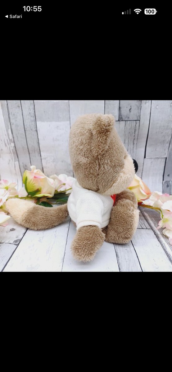 Jessy Sheldrake tweet media