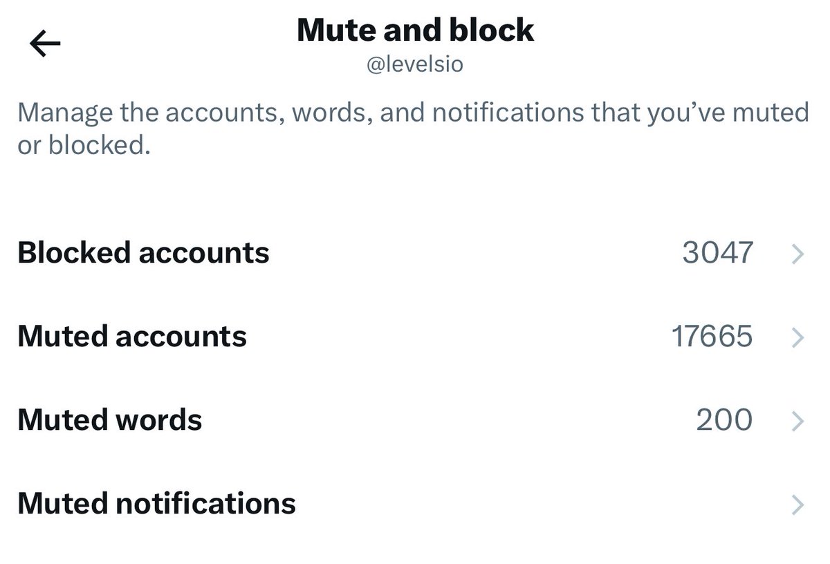 @levelsio tweet media