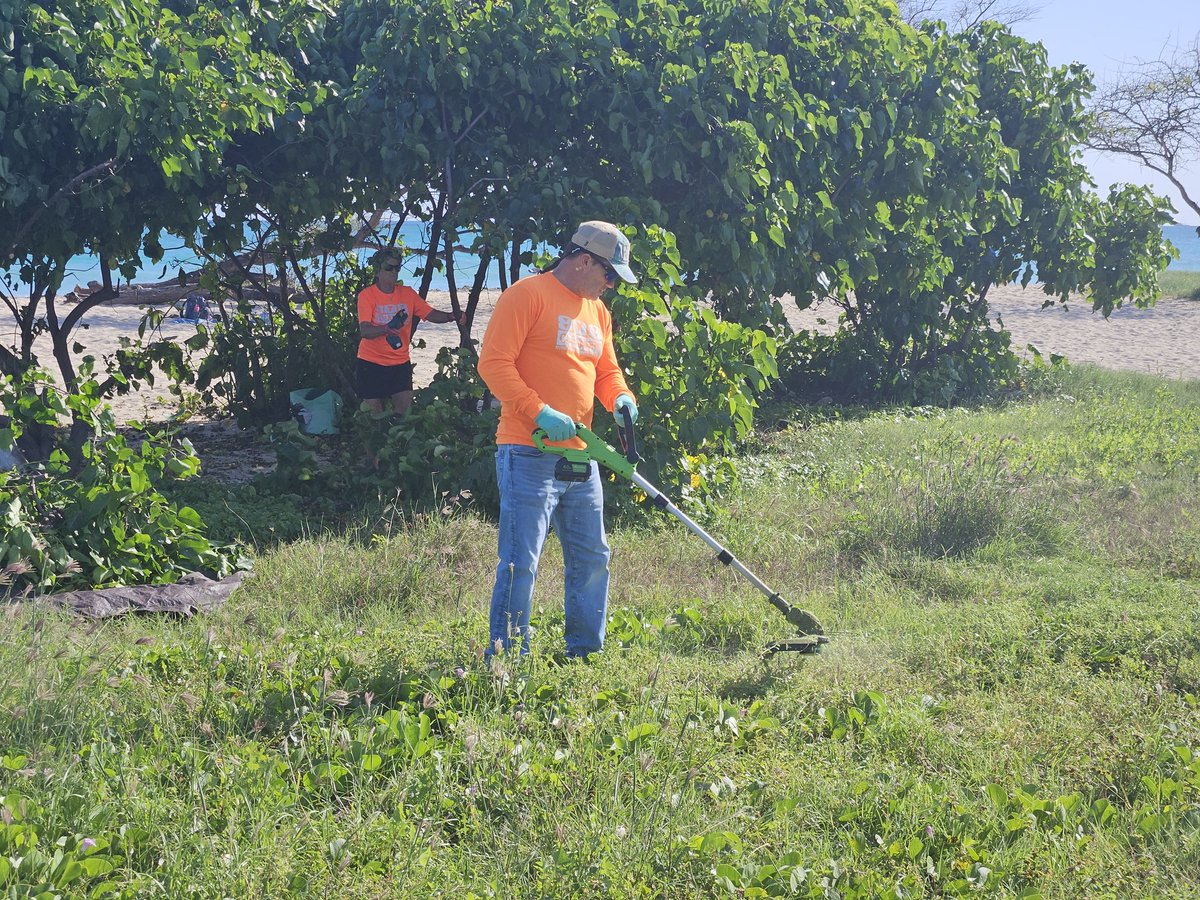 808cleanups tweet media