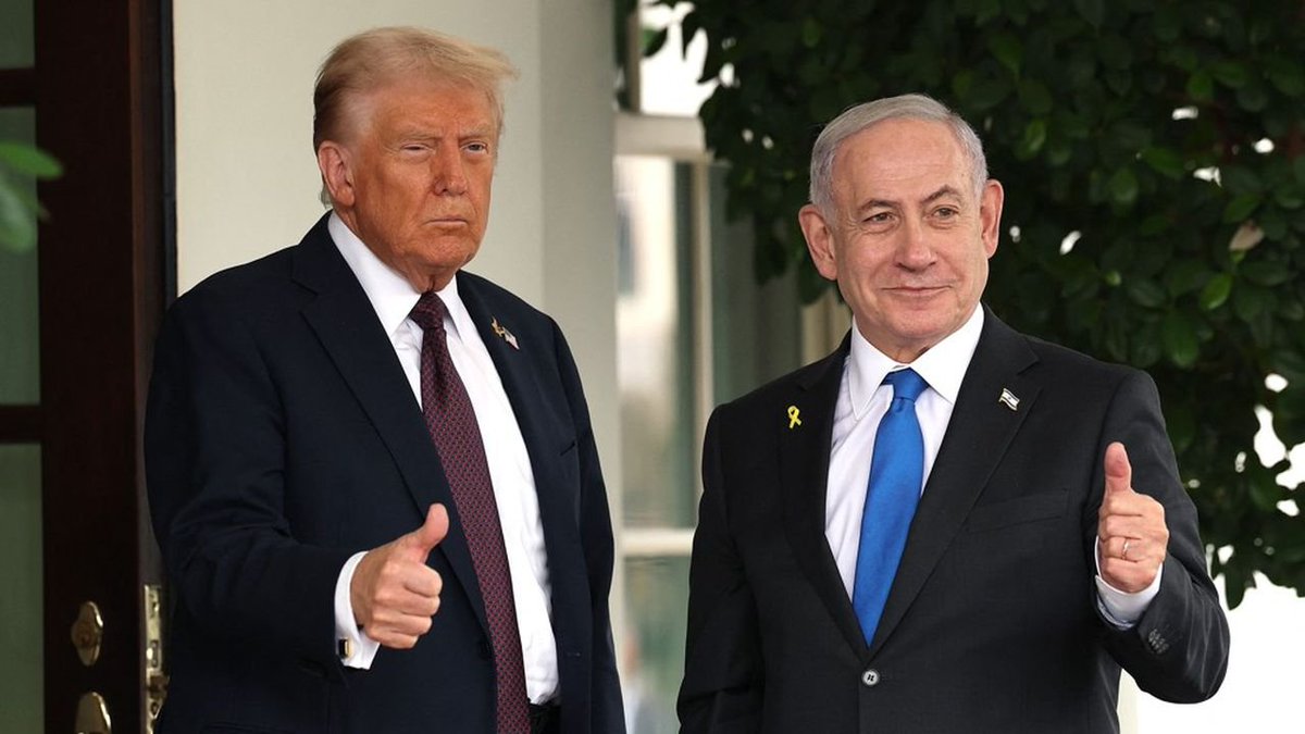 Little Think Tank tweet media