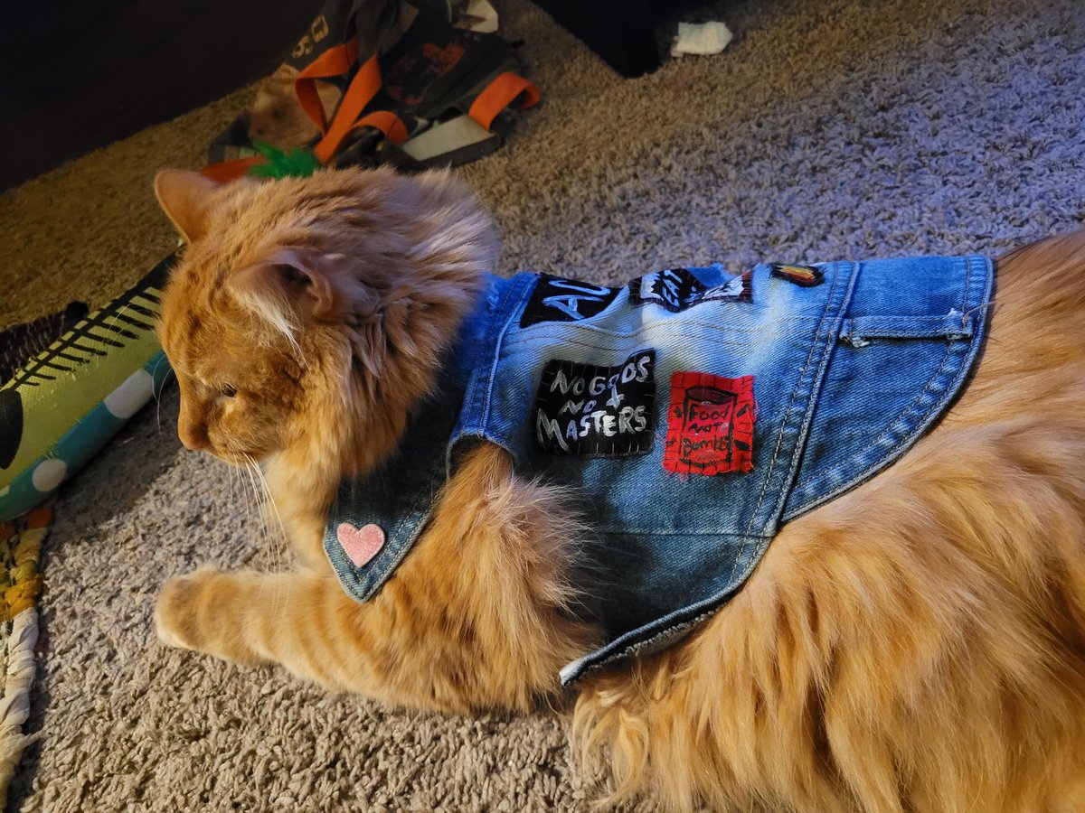 crdnl jack 🍳 tweet media