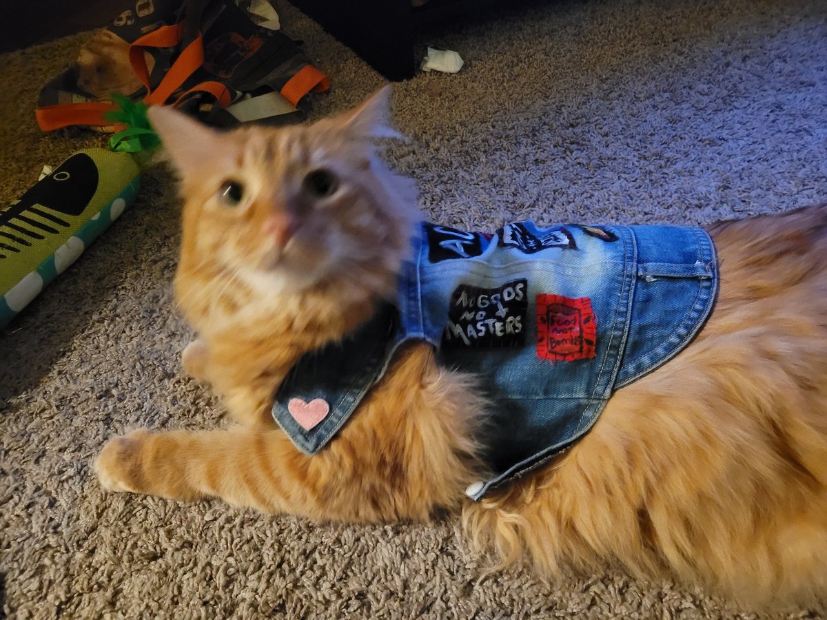 crdnl jack 🍳 tweet media