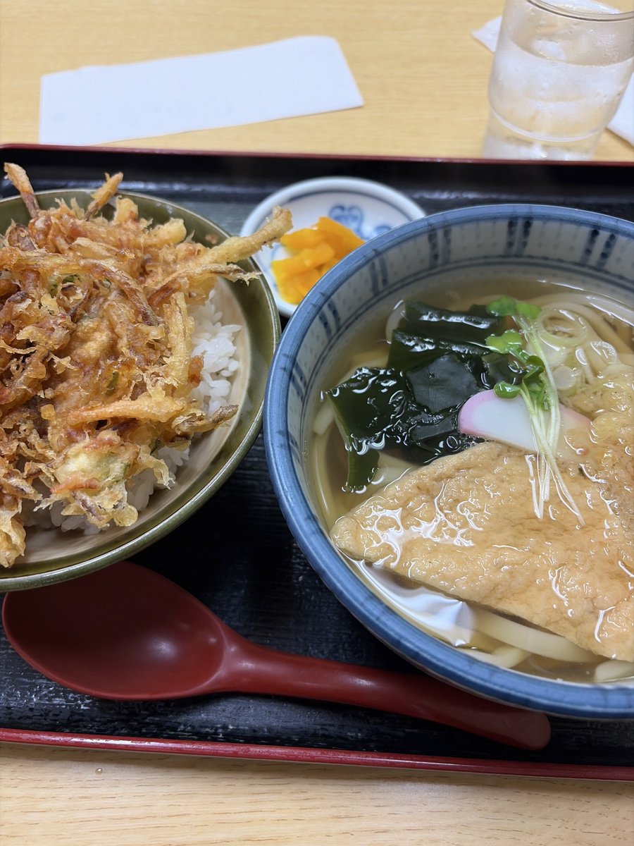 極度 暇な万年講師（しなさい） tweet media