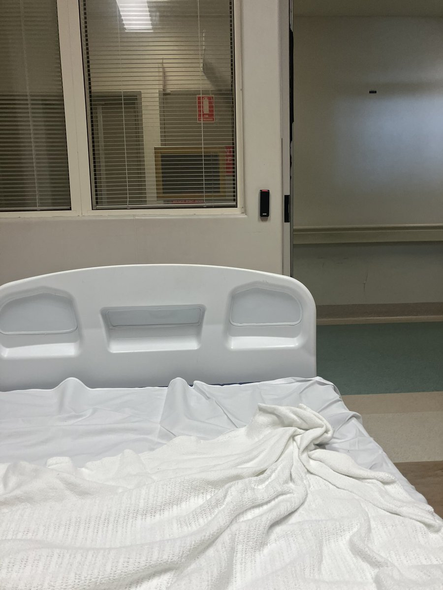 guts ⛤⃝ tweet media