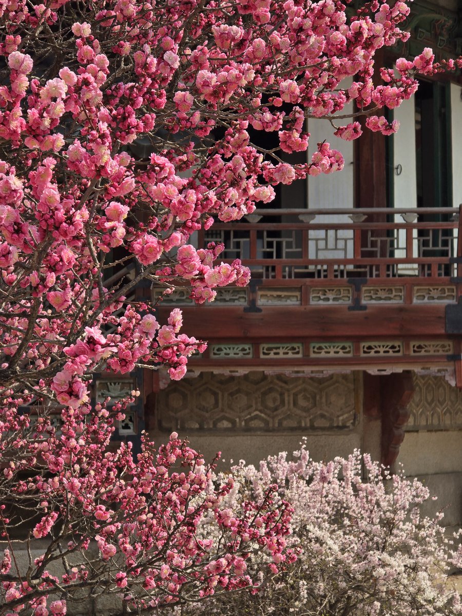 순대만 주세요 tweet media