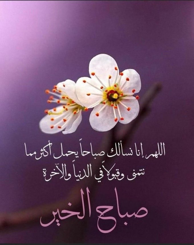 الباطنيه tweet media