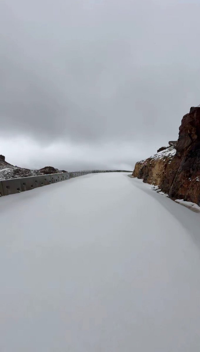 AlShamal Pinterest tweet media