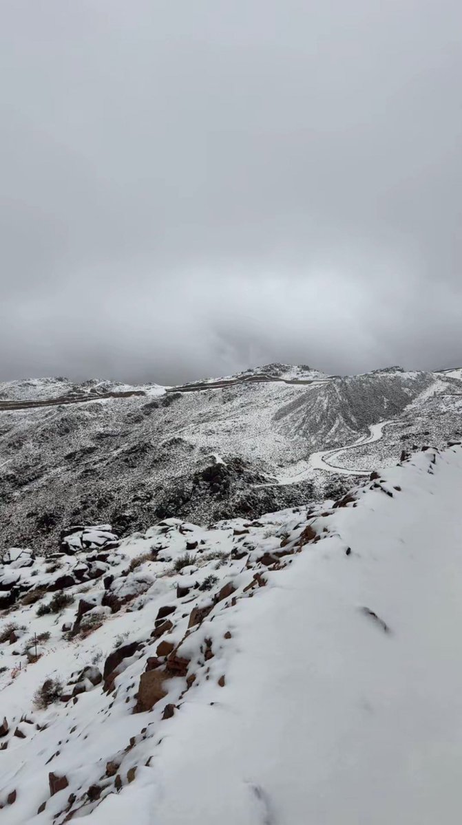 AlShamal Pinterest tweet media