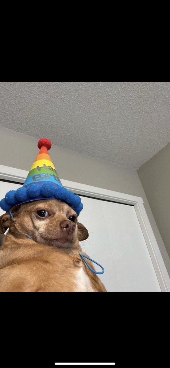 LORD NAYTE tweet media