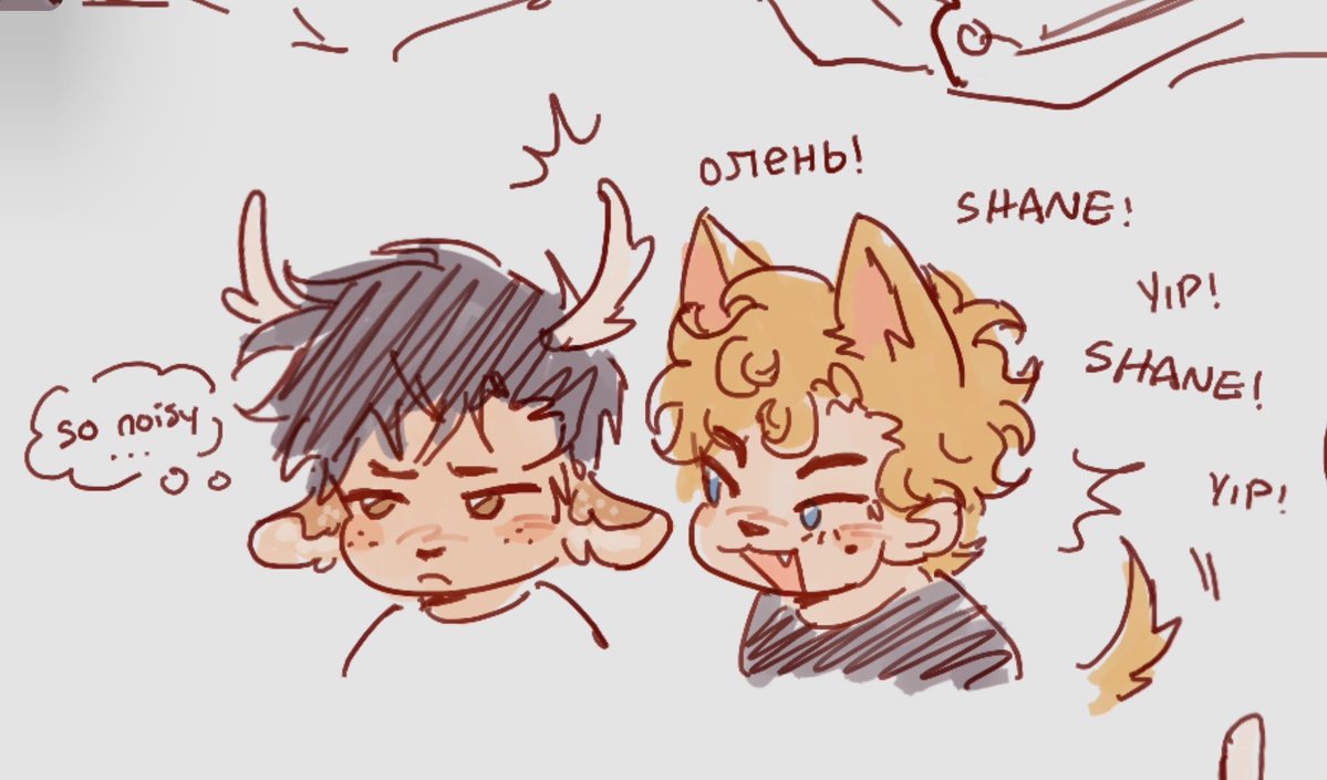 kobra 💤 tweet media