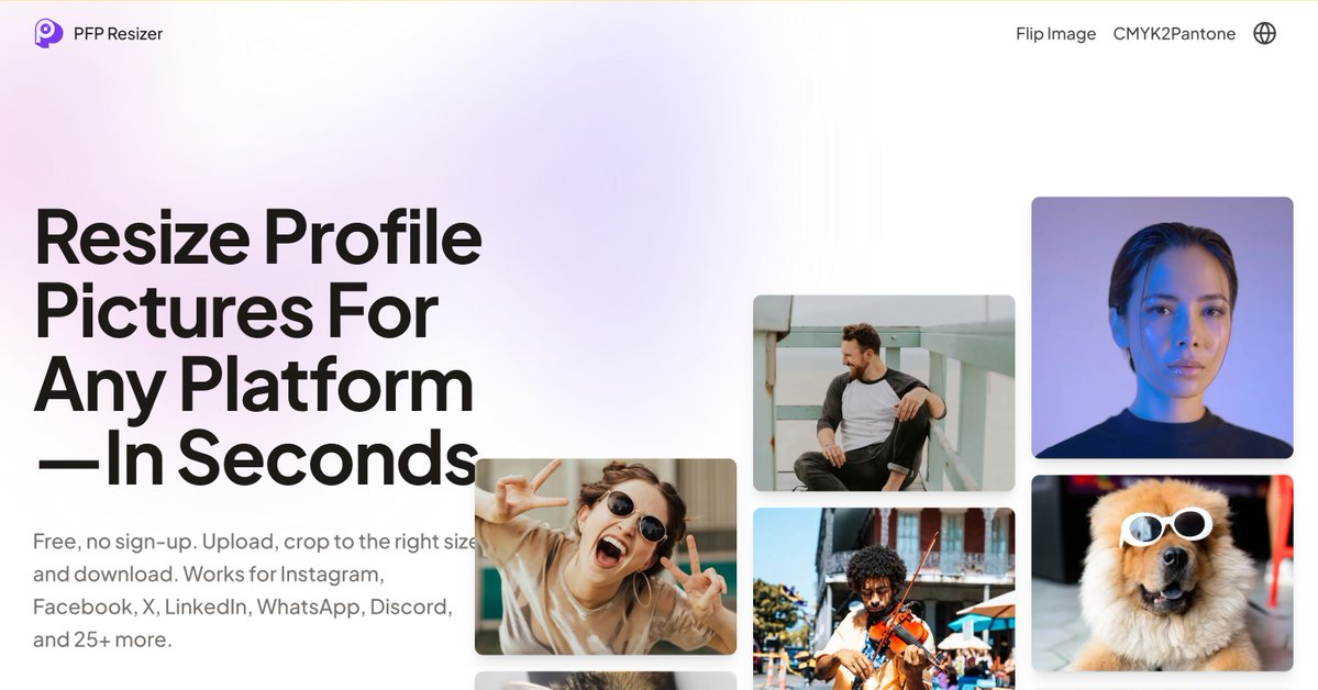 Chris → Startups.fyi tweet media