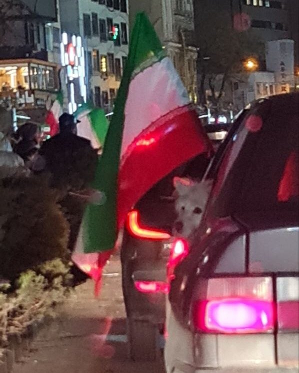 Seyfollah tweet media