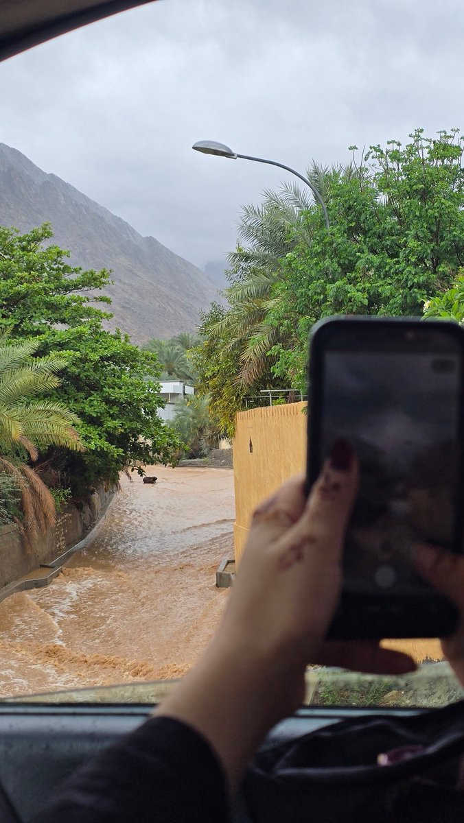 بنت محمد | ❤️🦌 tweet media