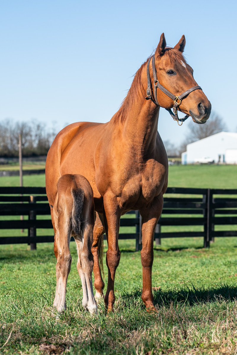 Javier I. Farache tweet media