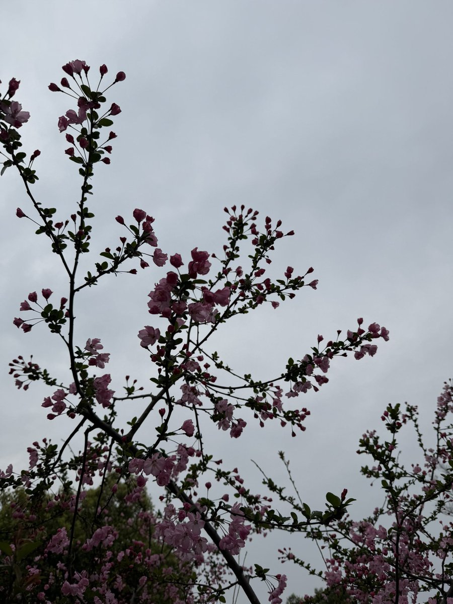 Frank Wang 玉伯 tweet media