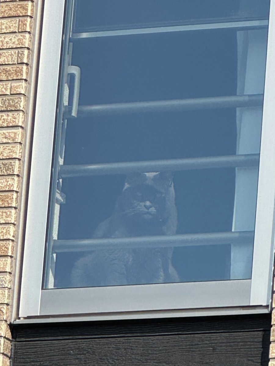 日動工業株式会社【公式】 tweet media