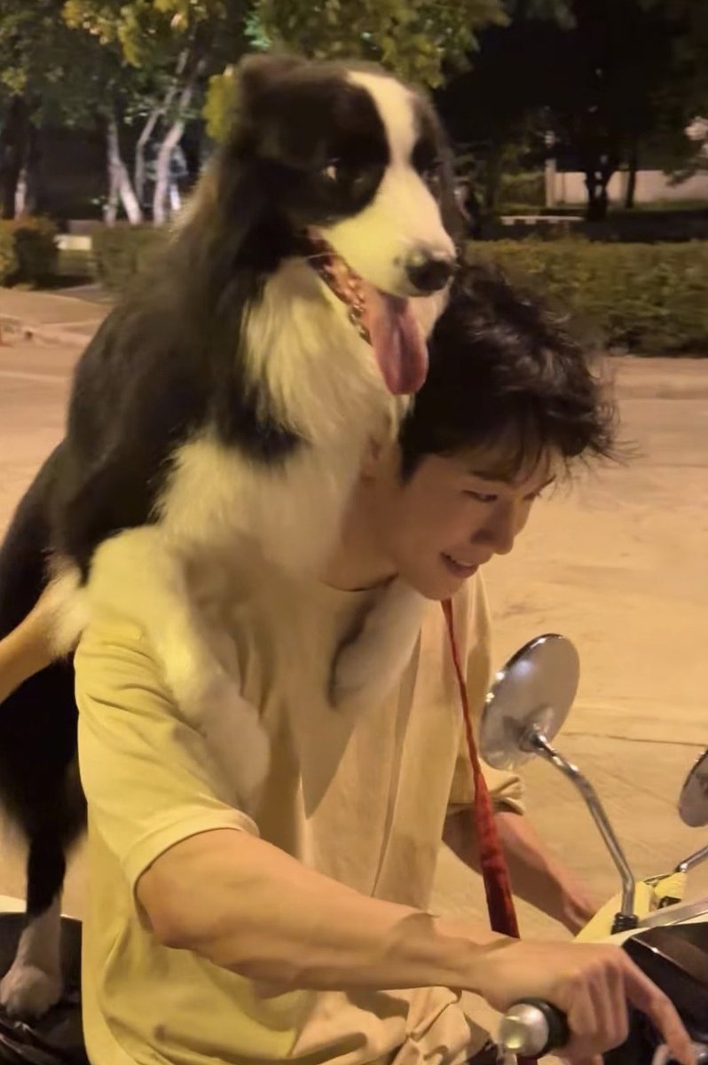 มินิวอ tweet media