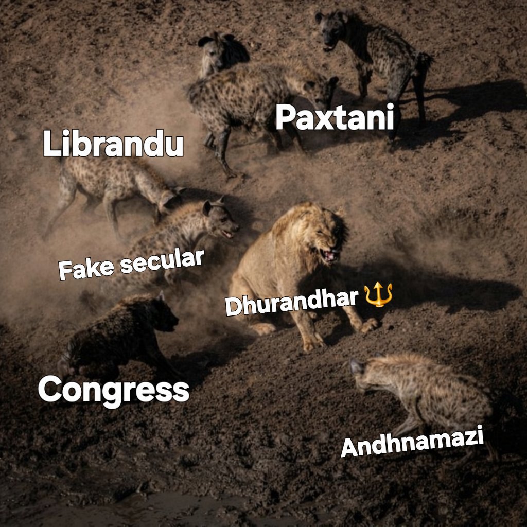 Puneet Kumar Hatela tweet media