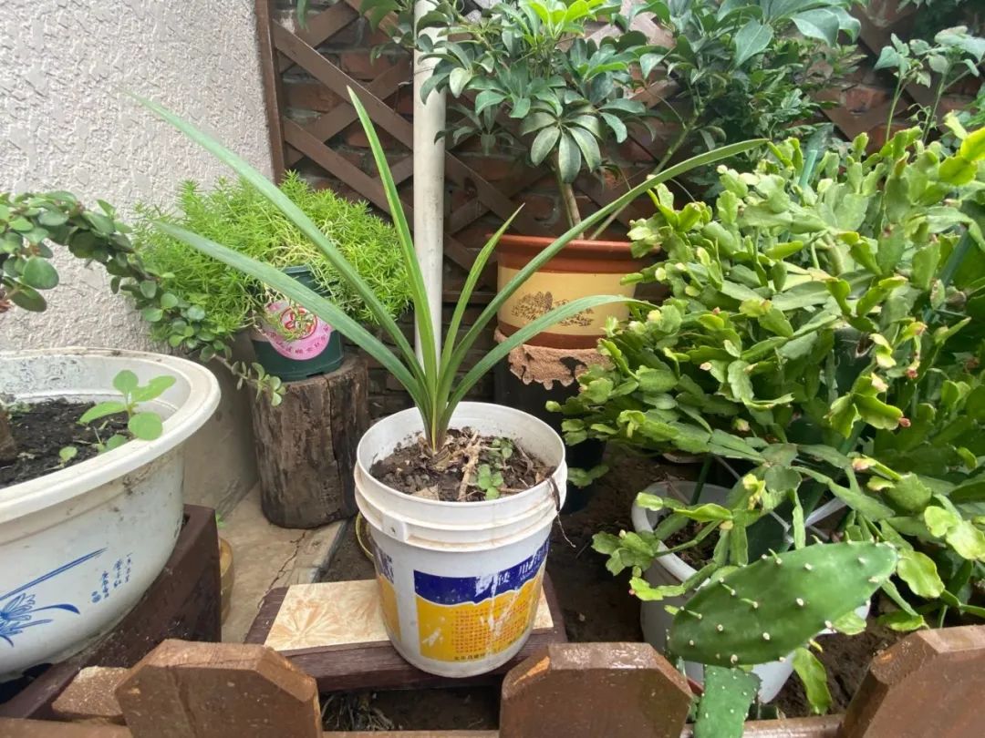 Michael Newman tweet media