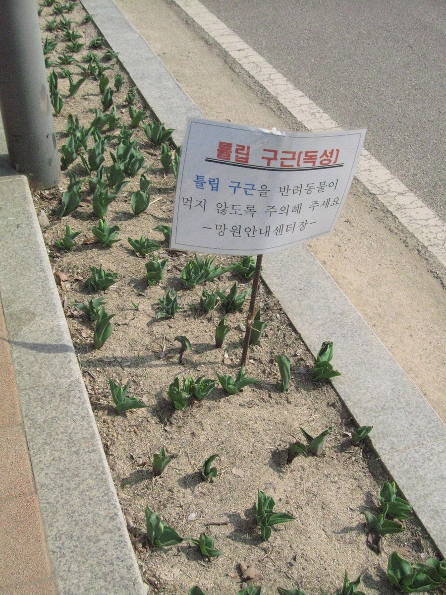 。 tweet media