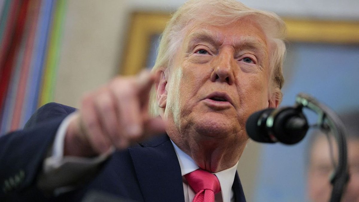 Little Think Tank tweet media