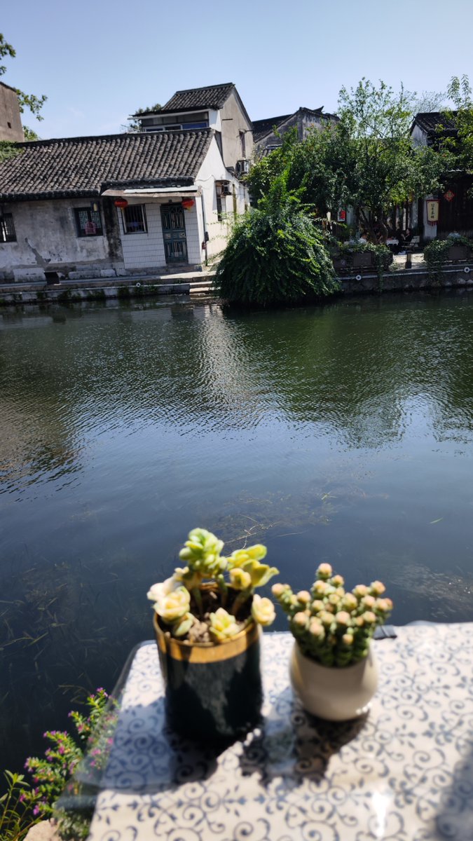 Phuong Anh tweet media