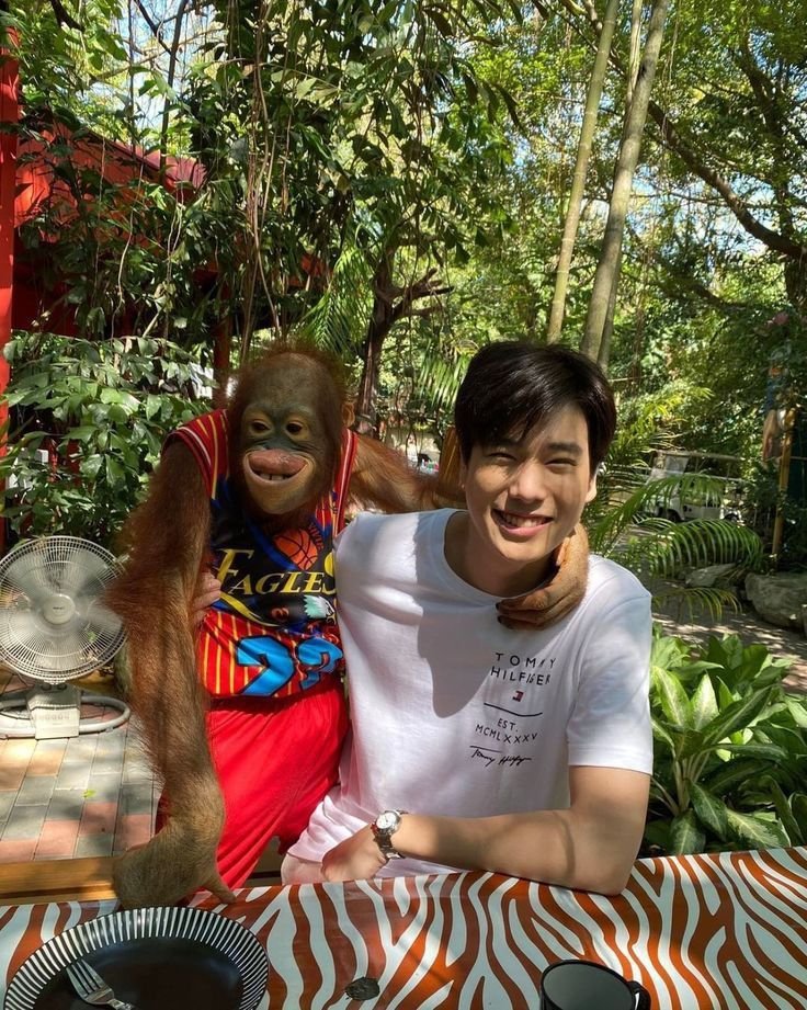 Az91saifar :) tweet media