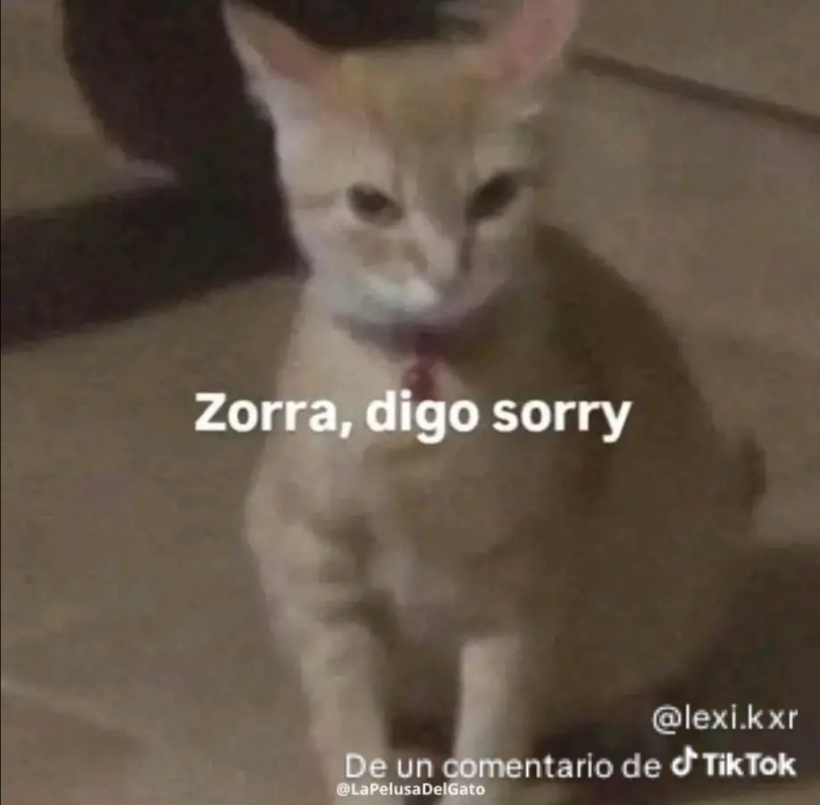 Zarsastica💜✨ tweet media