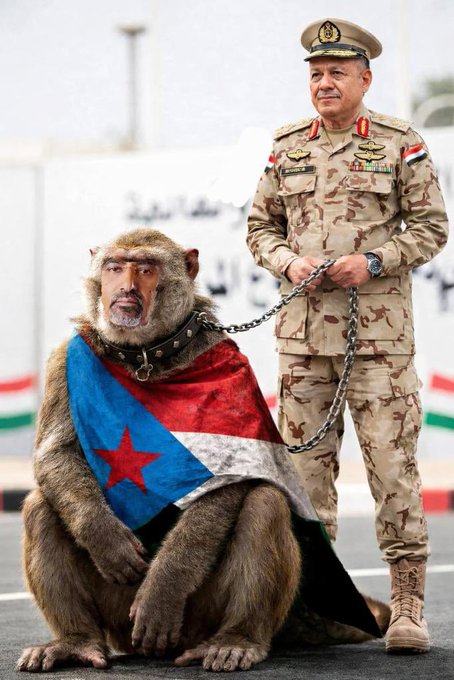 طلال القحطاني🇾🇪 tweet media