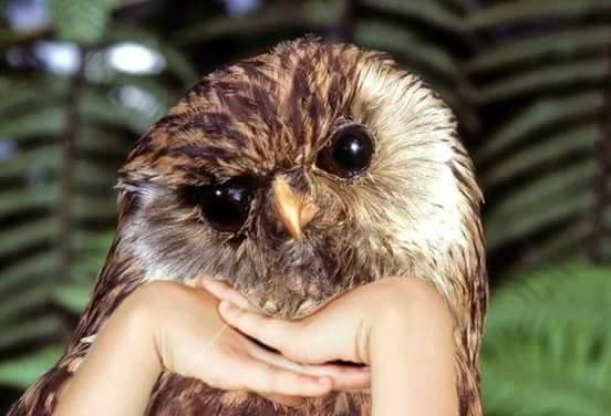 LM ❤️‍🔥 tweet media