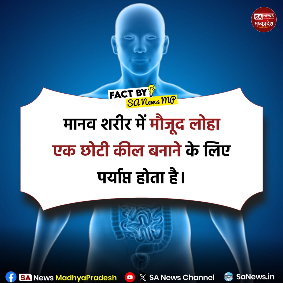 SAnewsMP's tweet image. मानव शरीर में इतना लोहा होता है कि उससे एक छोटी कील बनाई जा सकती है। यह आयरन खून के जरिए ऑक्सीजन पहुंचाने में मदद करता है।
#health
#science
#humanbody
#interestingfacts
#sanewsmadhyapradesh