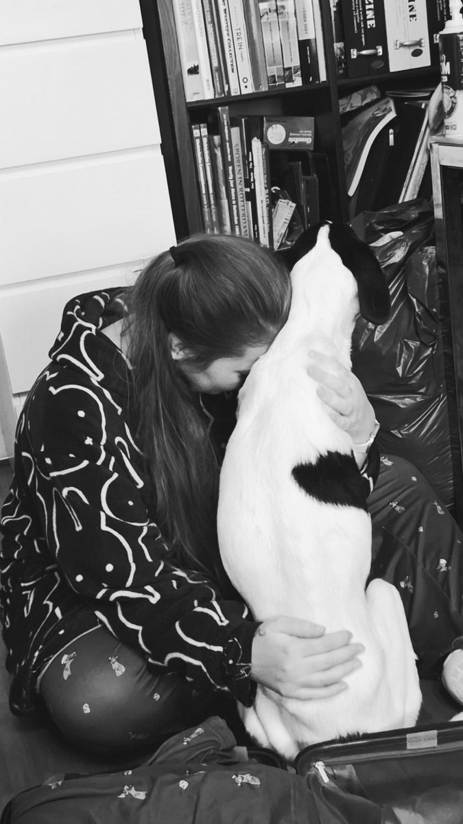 Daan ღ tweet media