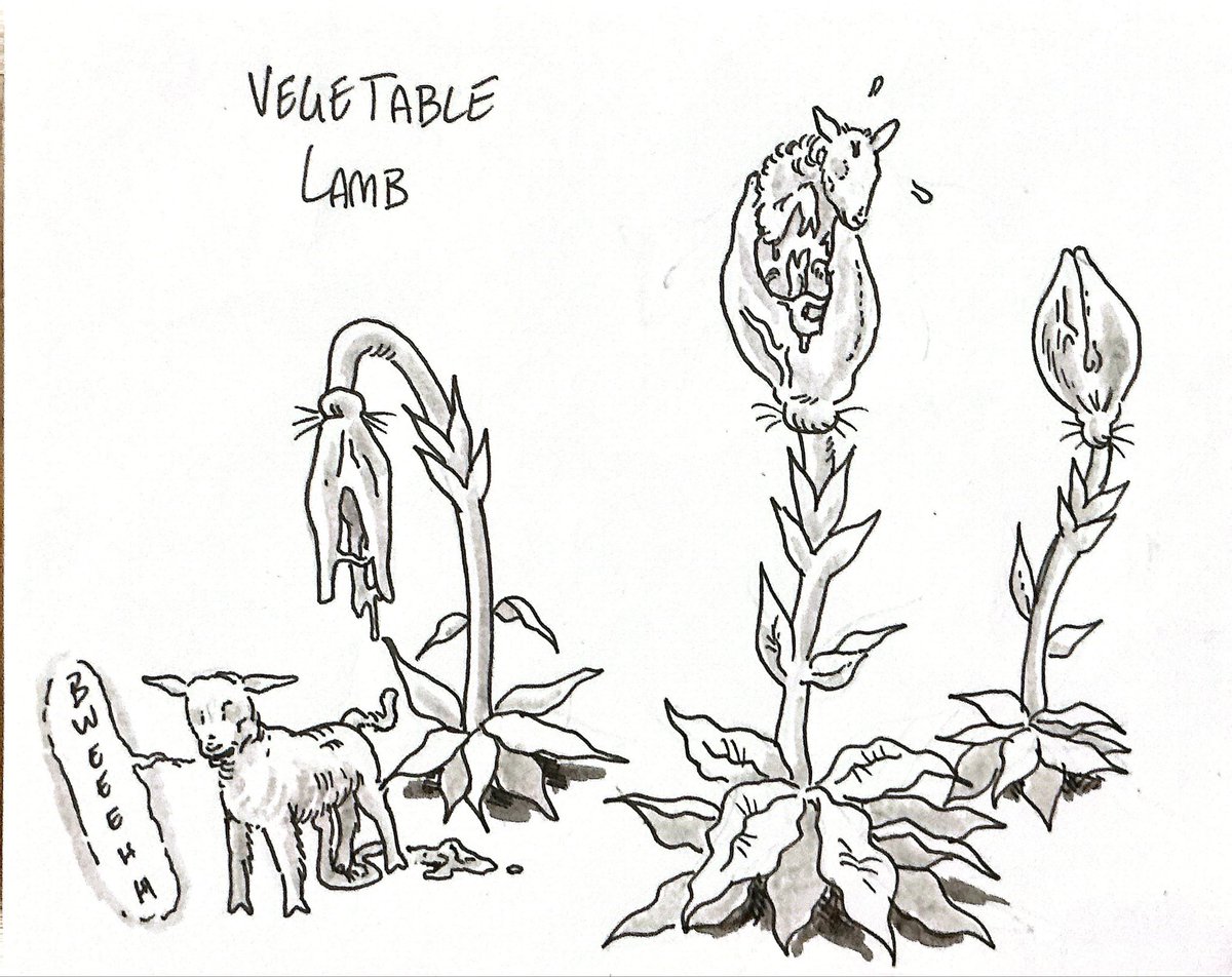 Jeremy 🇳🇿 tweet media