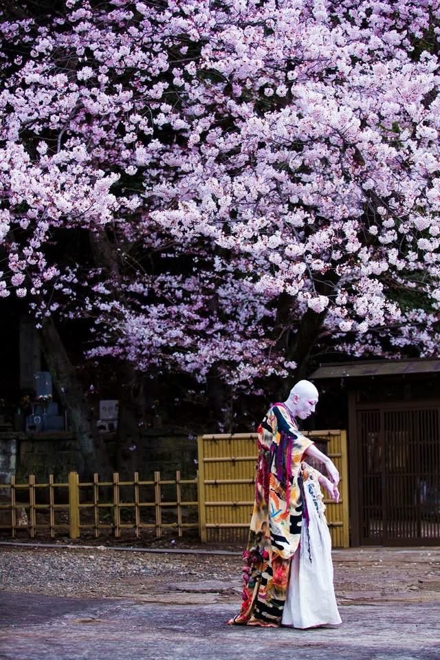 点滅◉舞踏 tweet media