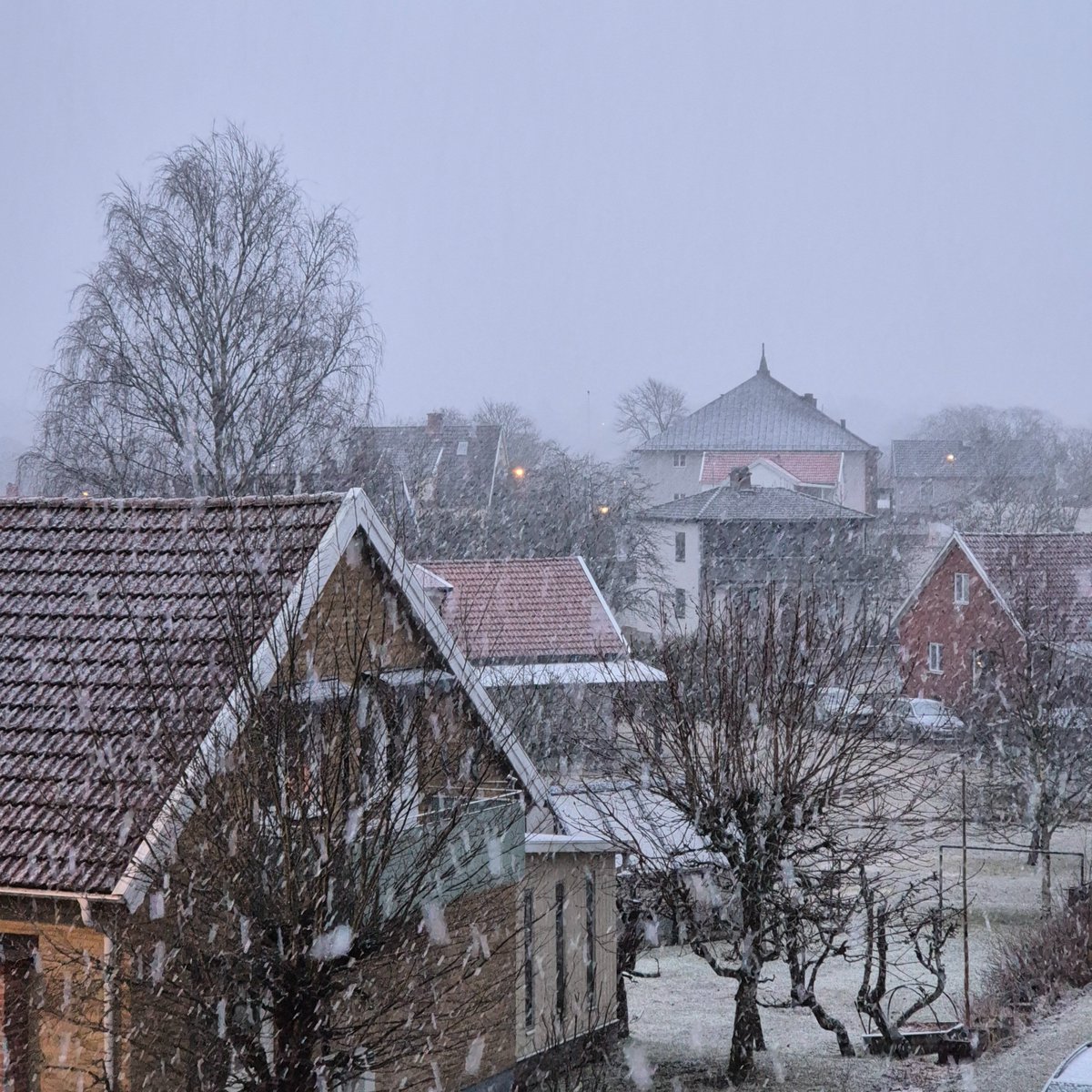 Marika Apsite Karlsson tweet media