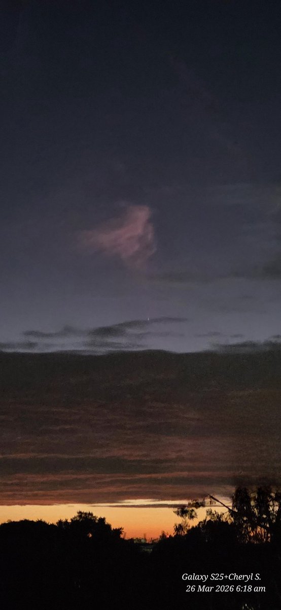 Cheryl Scheffer tweet media