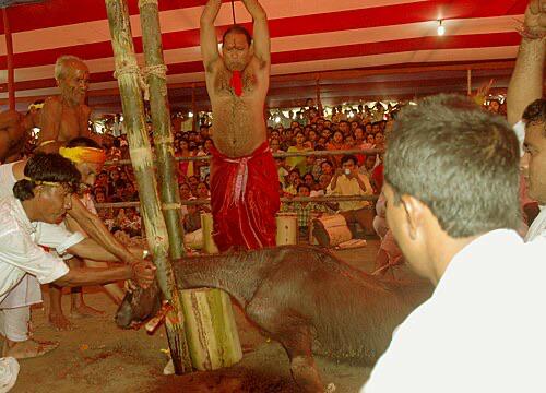 JOJO 🧢 tweet media