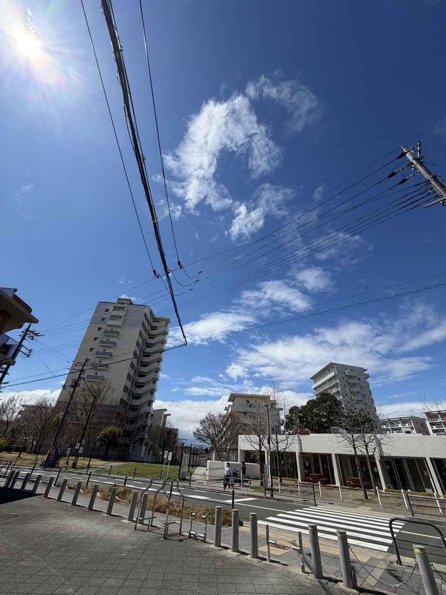 しまっち tweet media