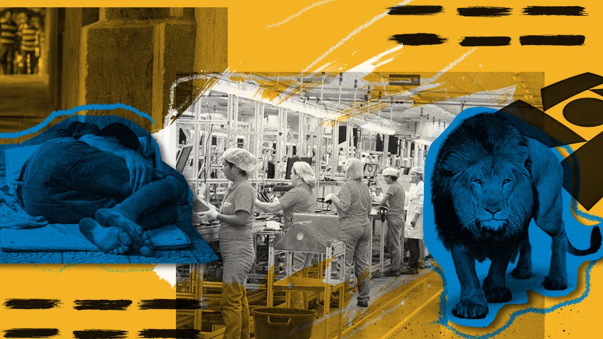 Brazil Journal tweet media